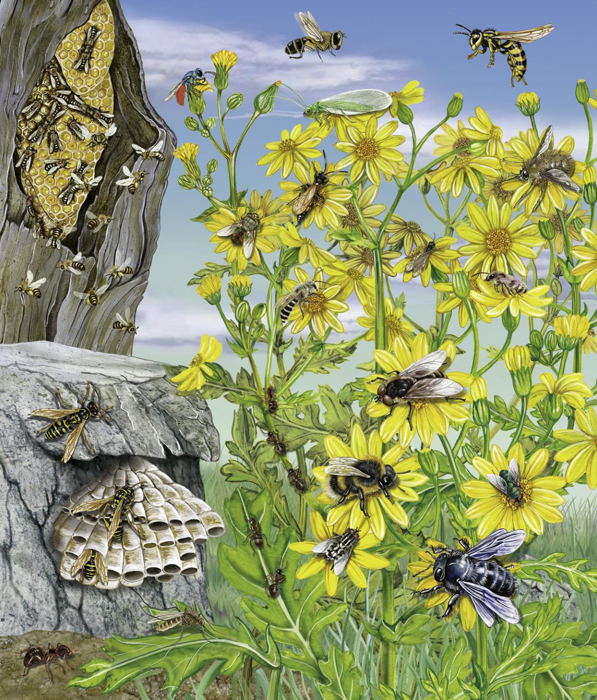 9783849945671_innenansicht_04 9783849945671_innenansicht_04.jpg