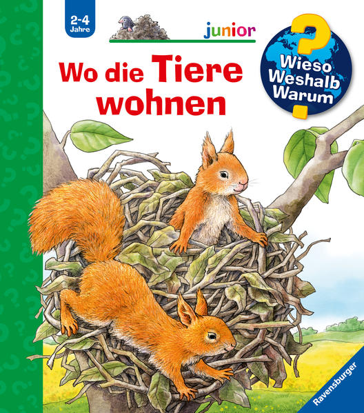 9783473328741 9783473328741