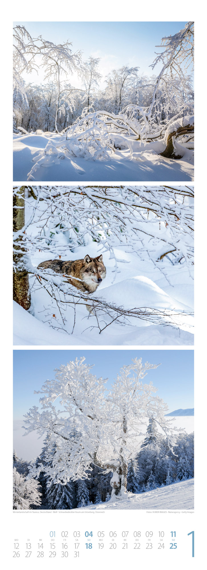 9783838426365_innenansicht_01 9783838426365_innenansicht_01.jpg