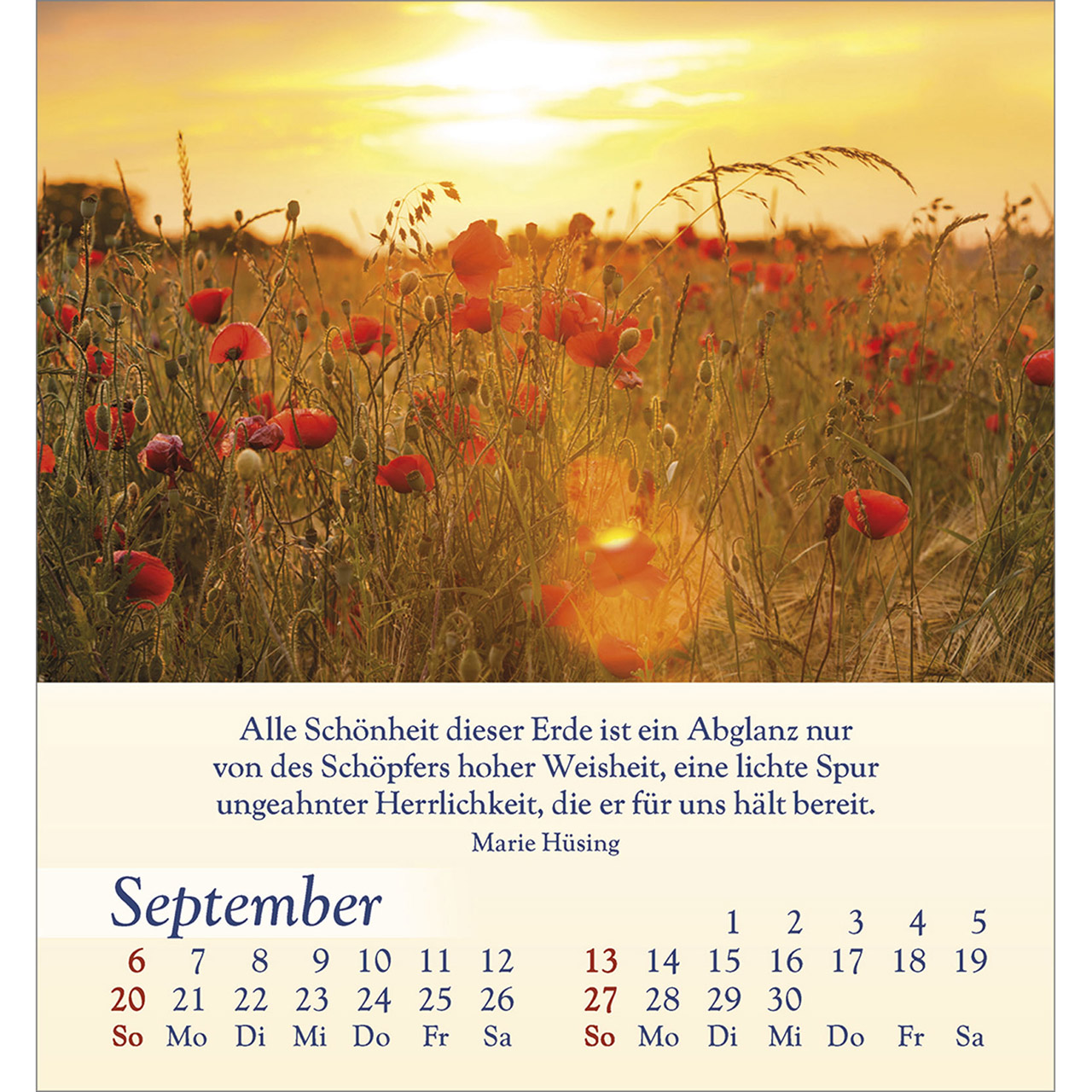 9783754834060_innenansicht_09 9783754834060_innenansicht_09.jpg