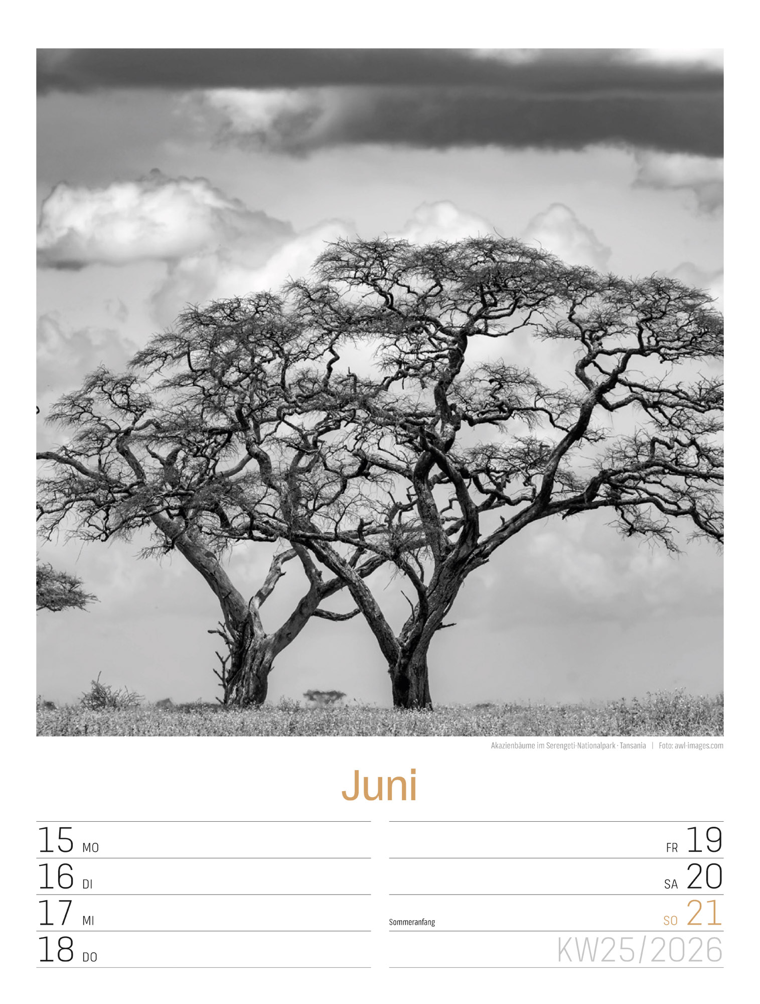 9783838436265_innenansicht_28 9783838436265_innenansicht_28.jpg