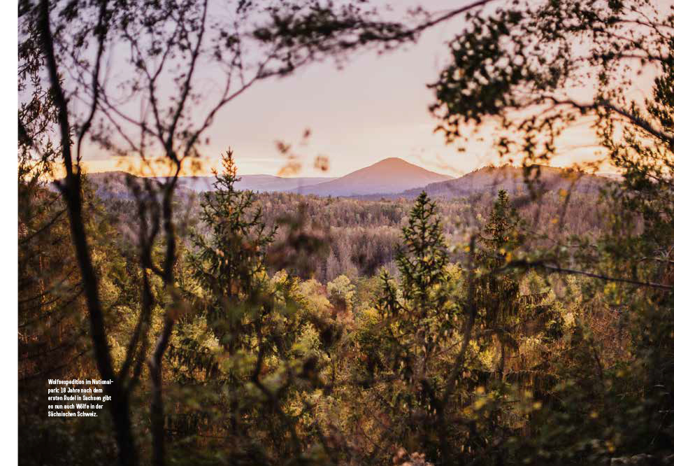 9783711002587_innenansicht_06 9783711002587_innenansicht_06.jpg