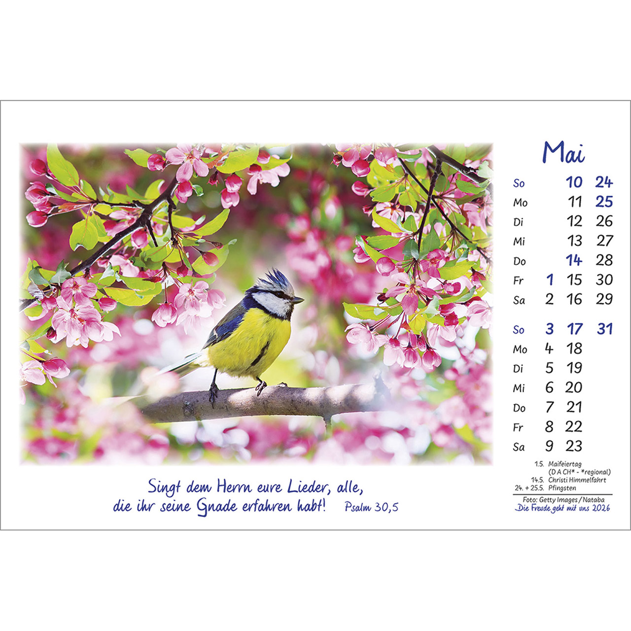 9783754883068_innenansicht_05 9783754883068_innenansicht_05.jpg