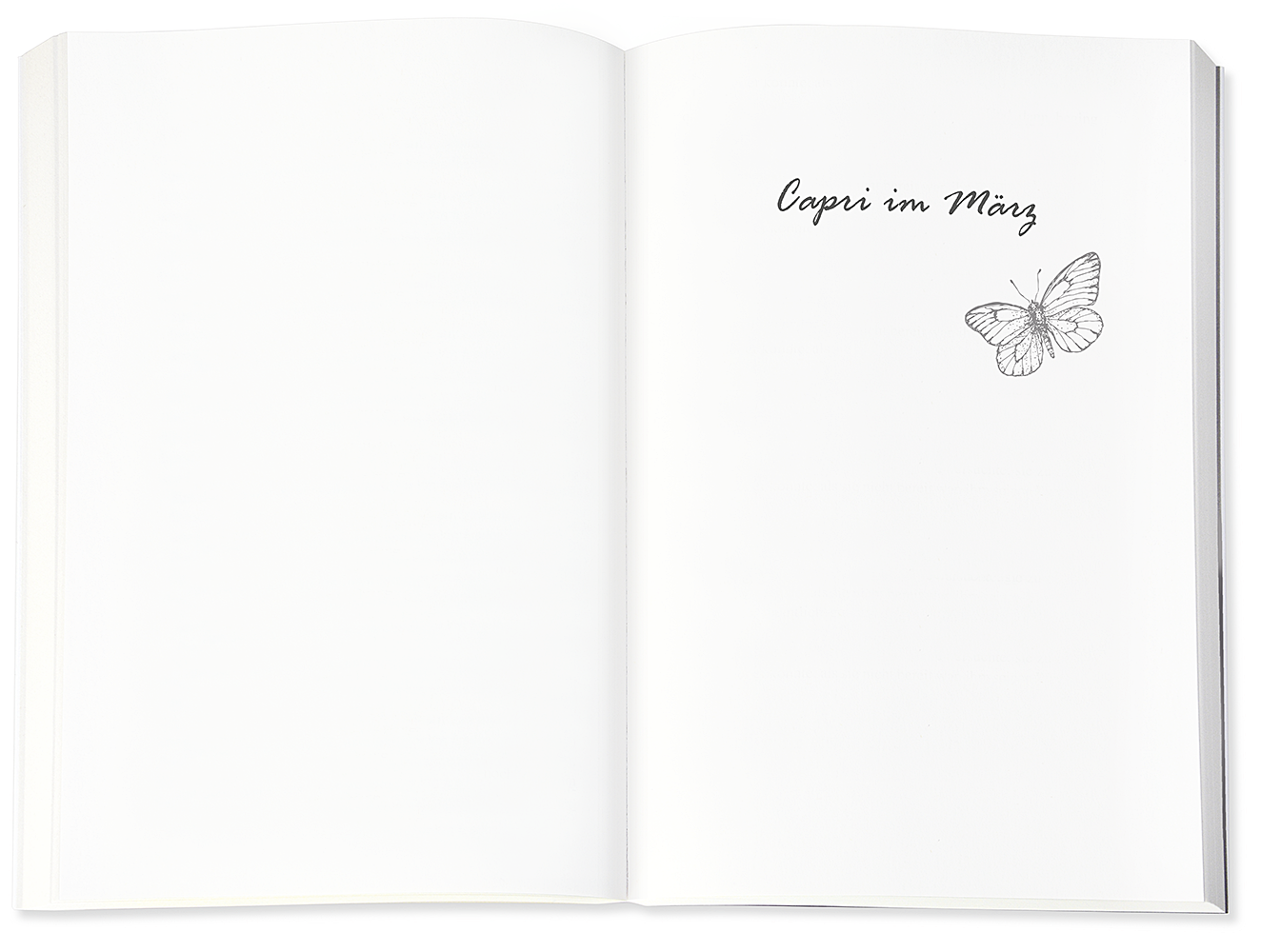 9783426525128_innenansicht_04.png
