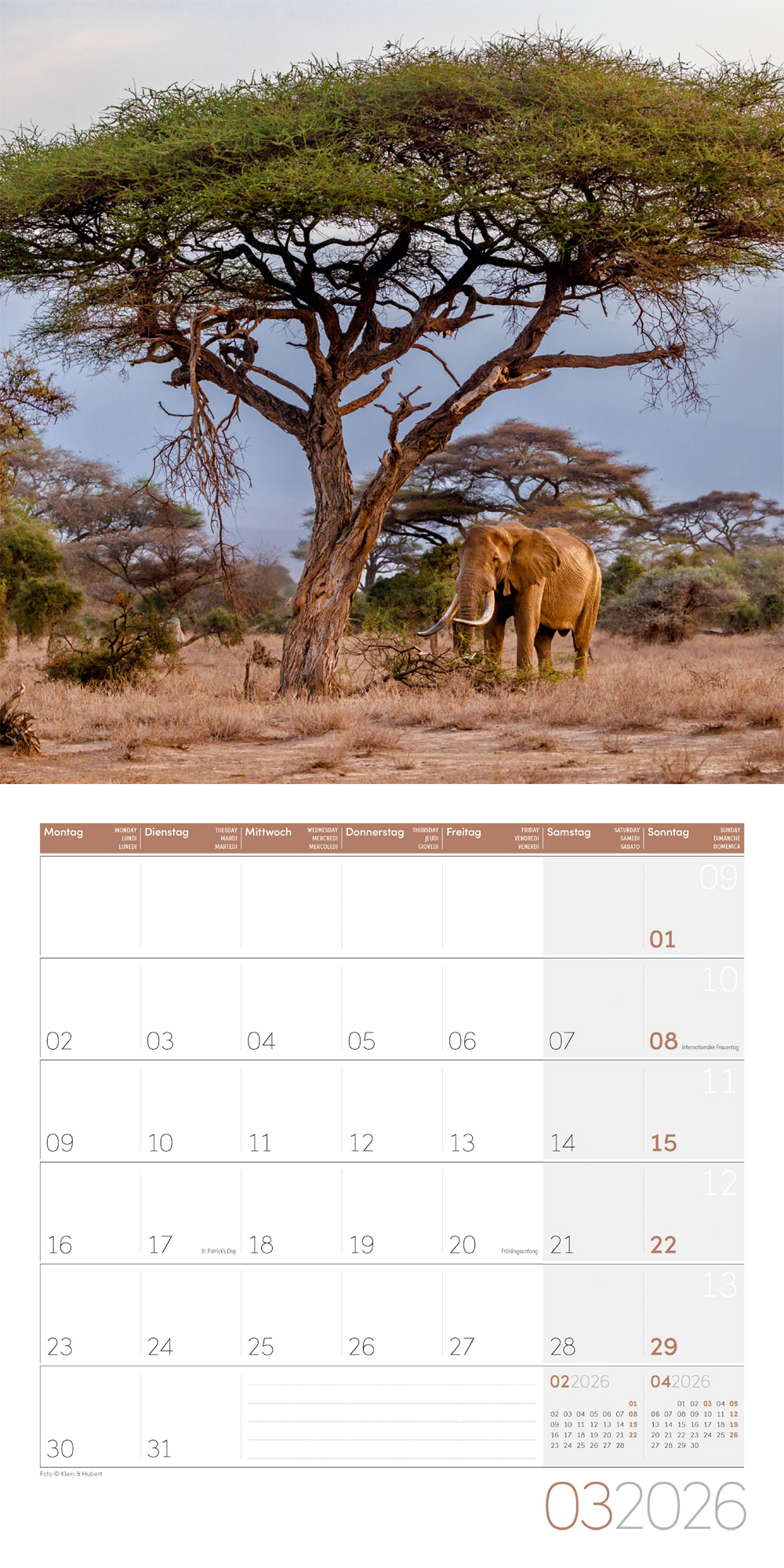 9783838446288_innenansicht_03 9783838446288_innenansicht_03.jpg