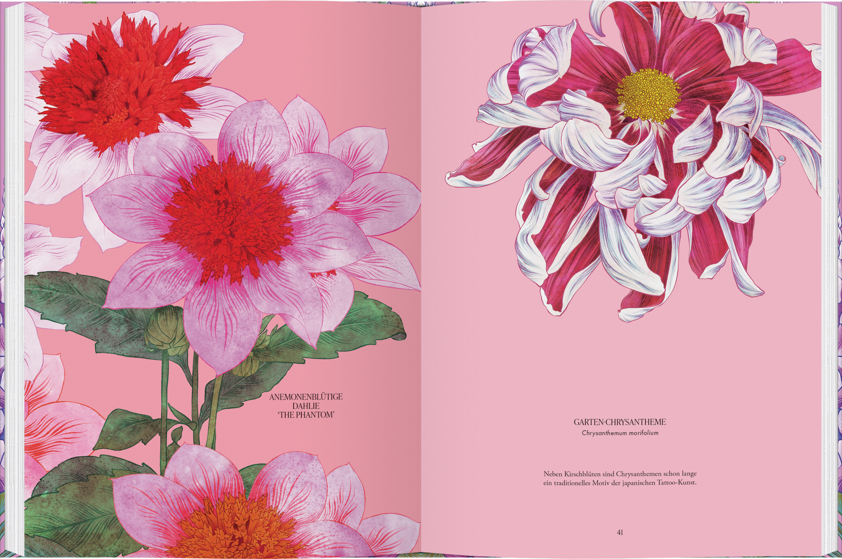 9783836922081_innenansicht_02 9783836922081_innenansicht_02.jpg