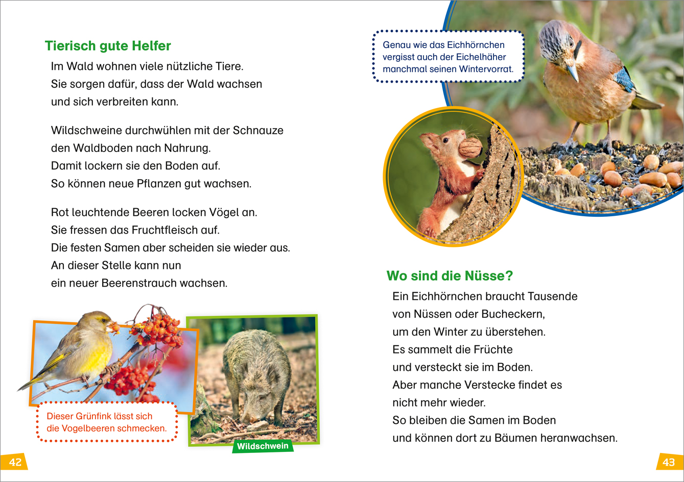 9783788626426_innenansicht_06 9783788626426_innenansicht_06.jpg