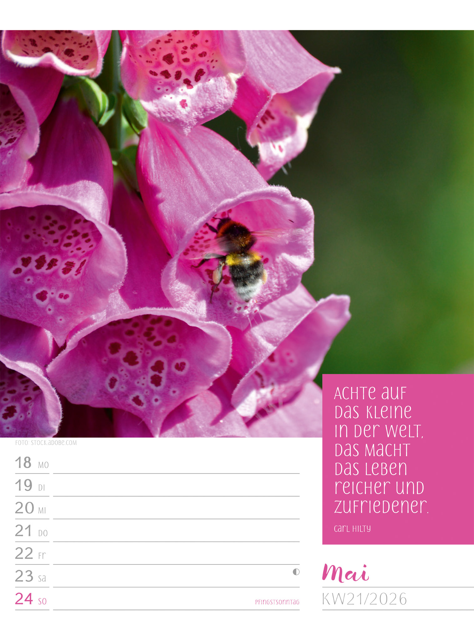 9783838426938_innenansicht_24 9783838426938_innenansicht_24.jpg