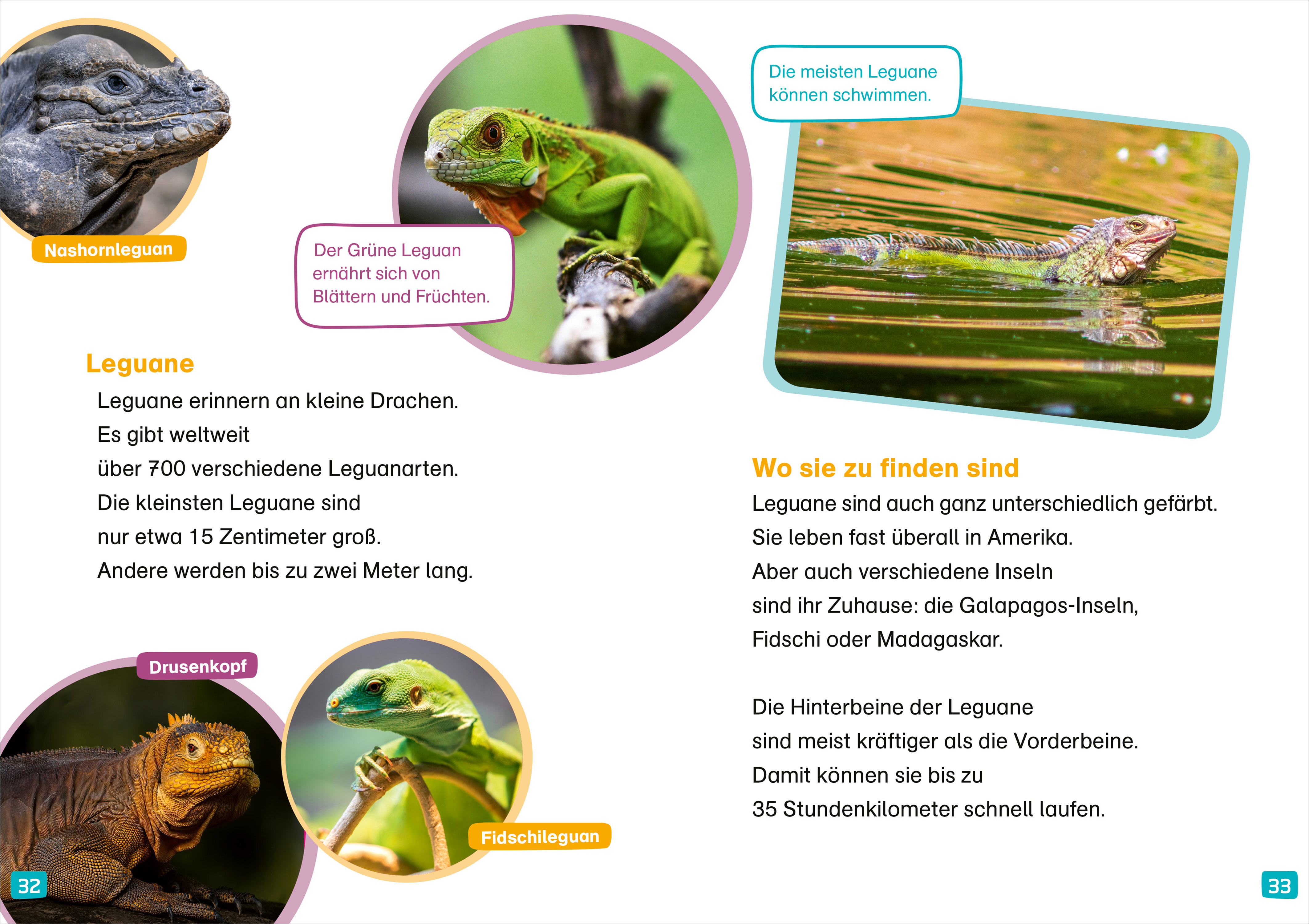 9783788677404_innenansicht_03 9783788677404_innenansicht_03.jpg