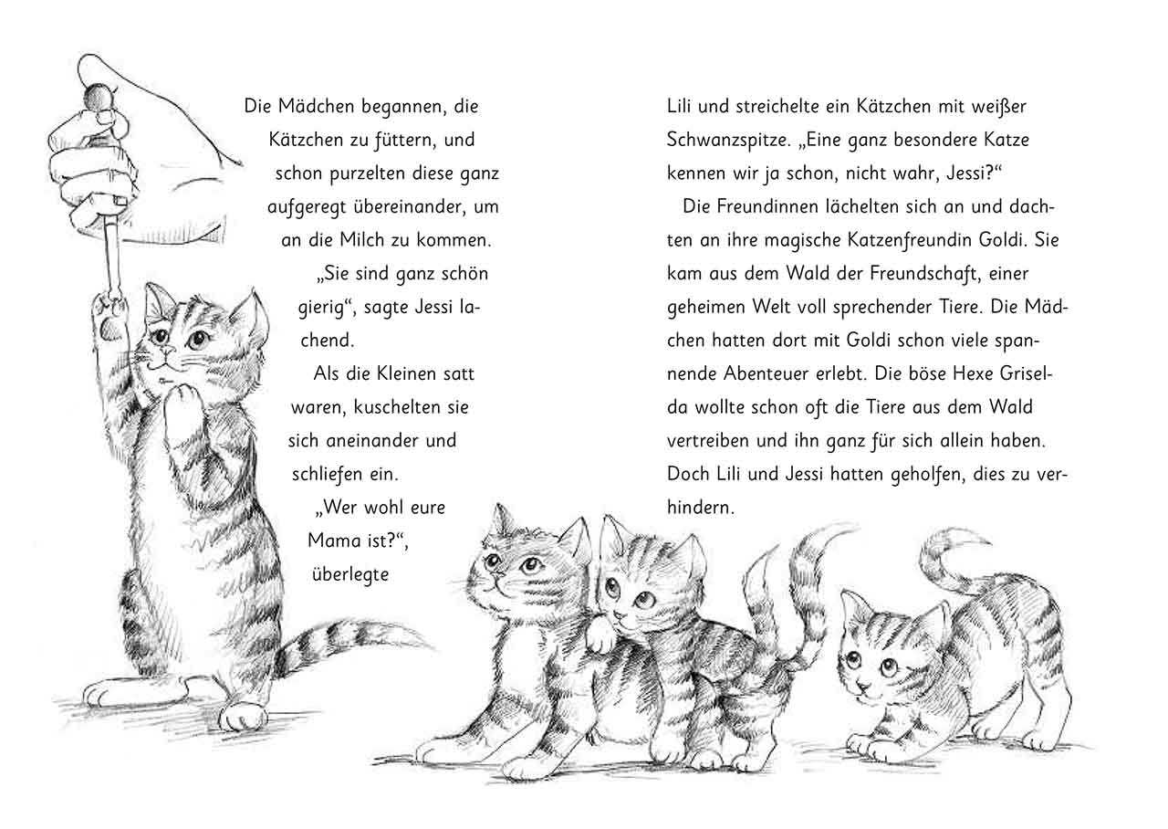 9783785587881_innenansicht_01.jpg