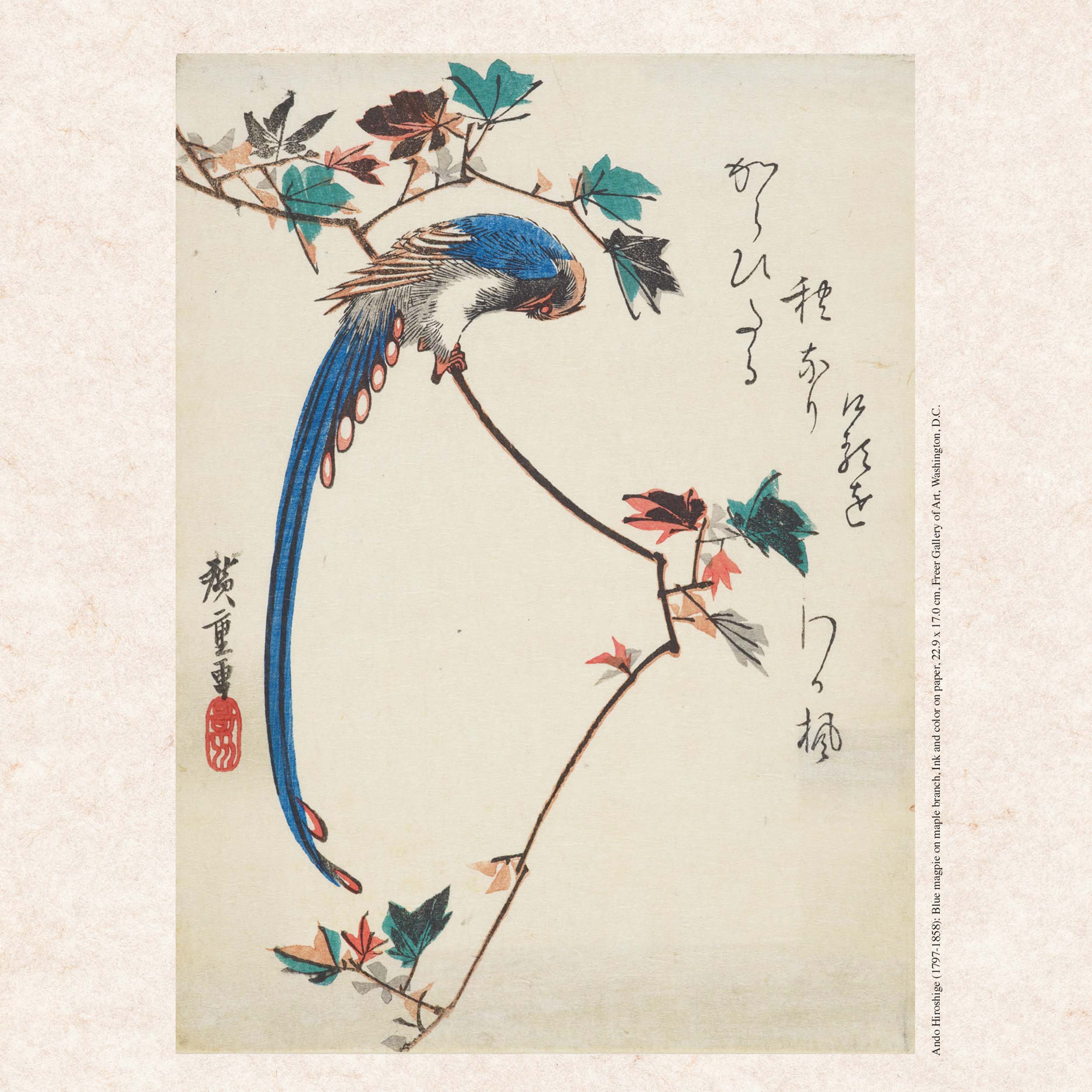 9783959295543_innenansicht_04 9783959295543_innenansicht_04.jpg