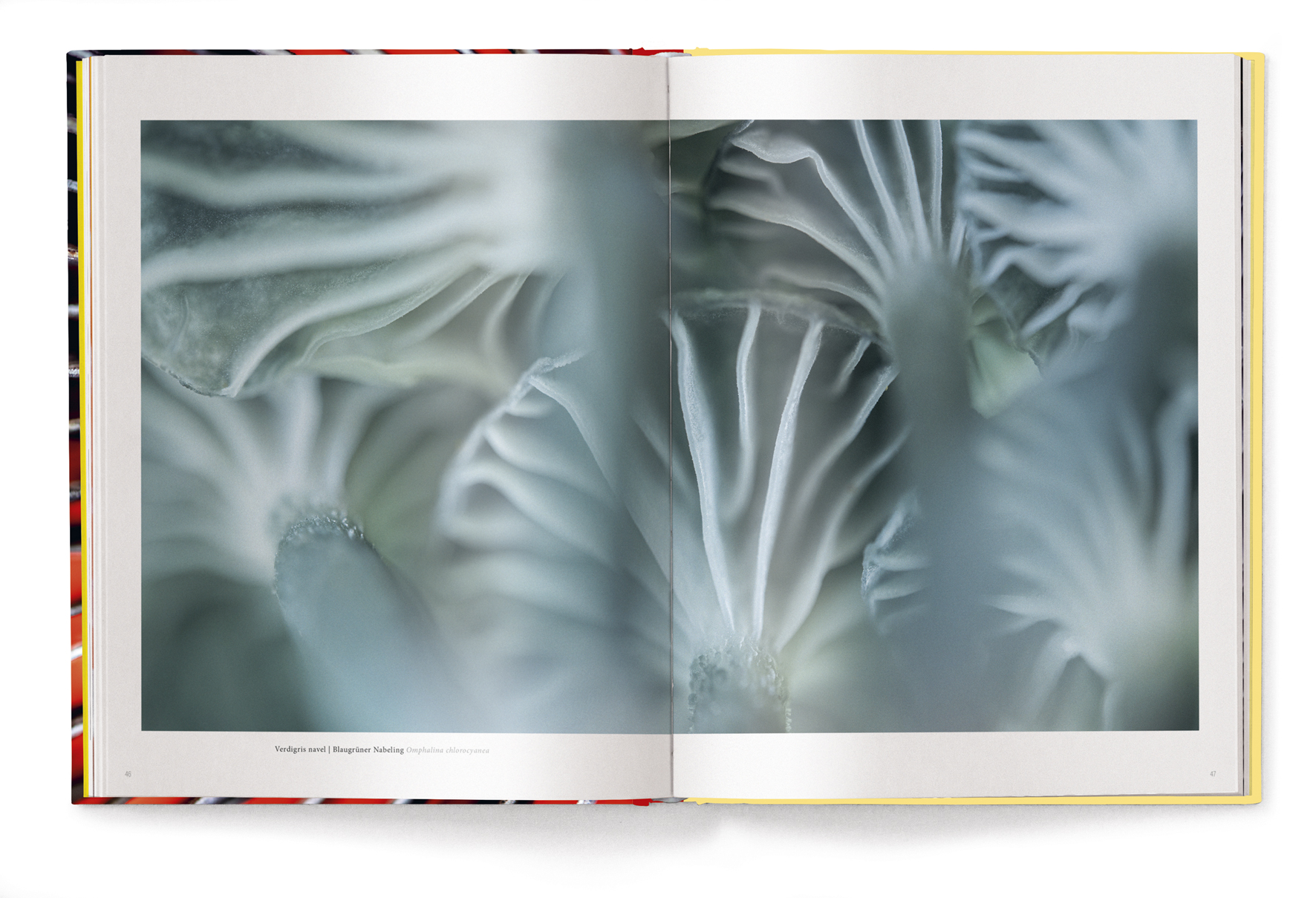 9783961715107_innenansicht_04 9783961715107_innenansicht_04.jpg