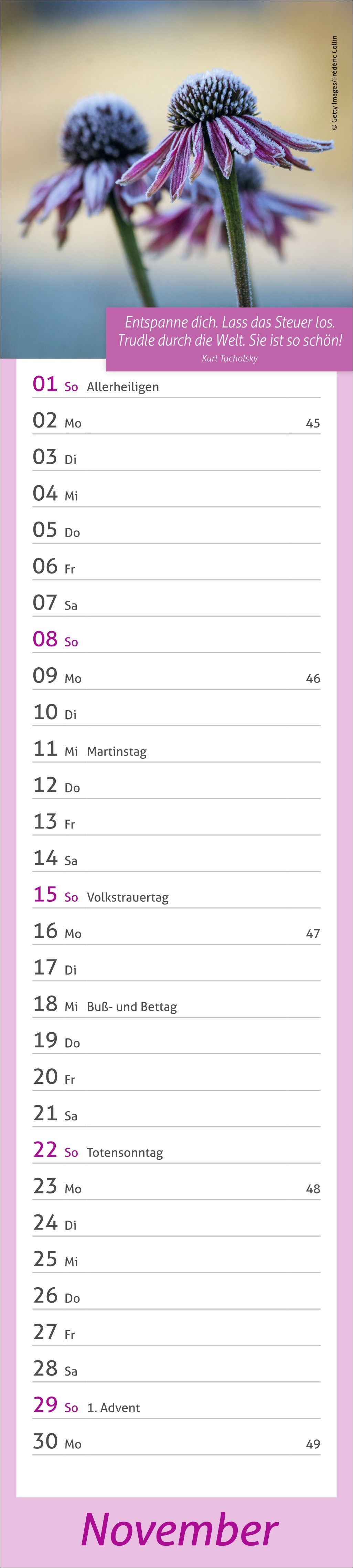 9783756412945_innenansicht_11.jpg