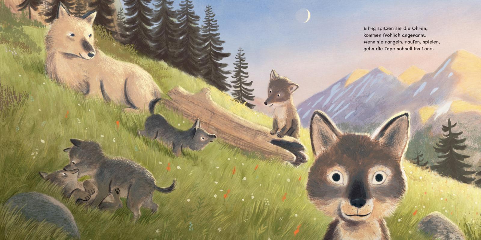 9783522460569_innenansicht_02 9783522460569_innenansicht_02.jpg