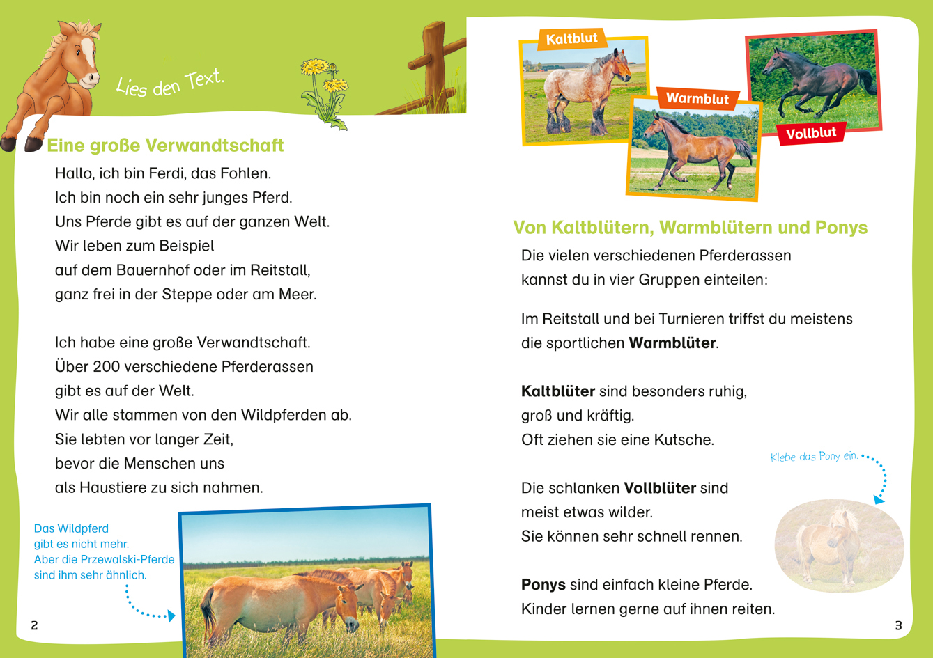 9783788681432_innenansicht_01.jpg