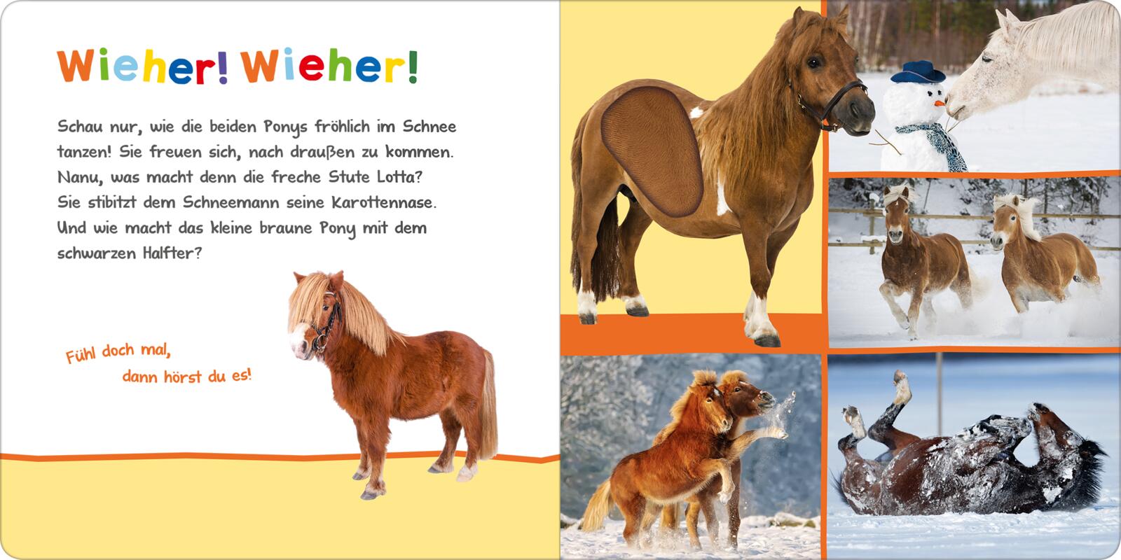 9783845848082_innenansicht_03.jpg