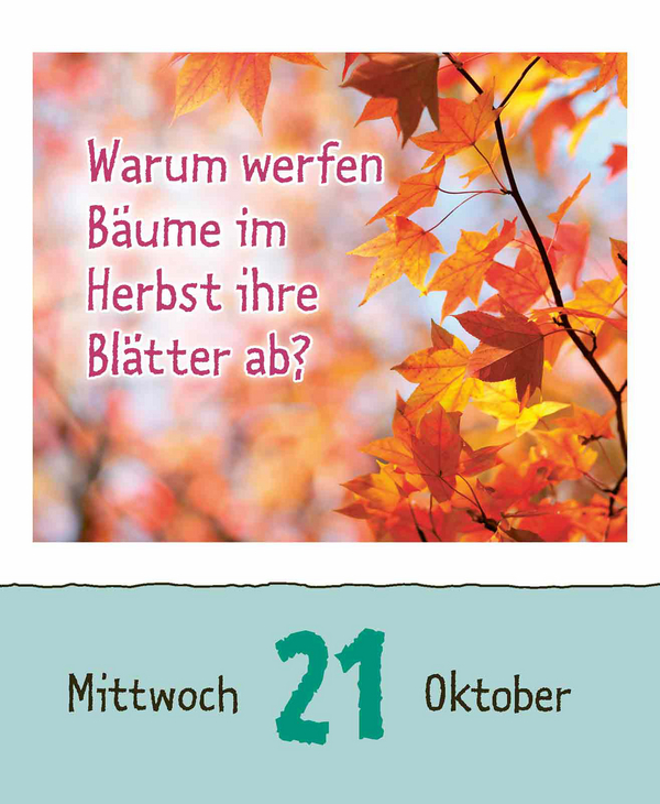 9783731886976_innenansicht_14.jpg
