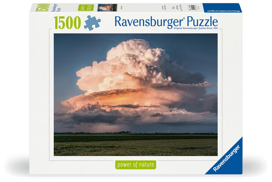 4005555013990