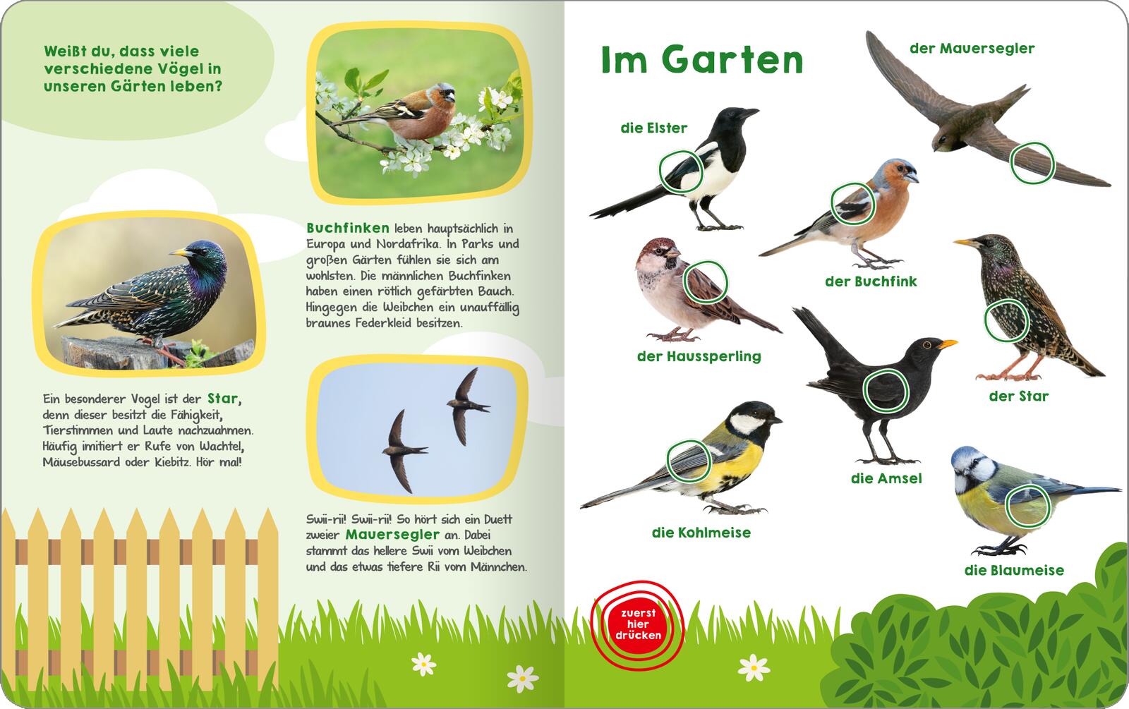 9783845855325_innenansicht_01 9783845855325_innenansicht_01.jpg