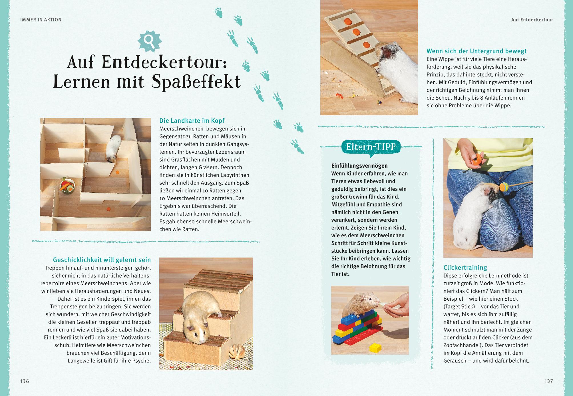 9783833842160_innenansicht_10.jpg