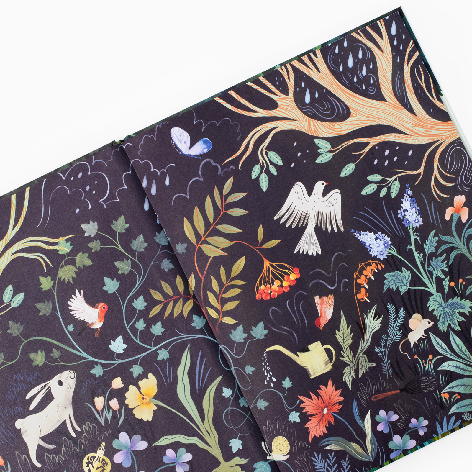 9783458643814_innenansicht_04 9783458643814_innenansicht_04.jpg