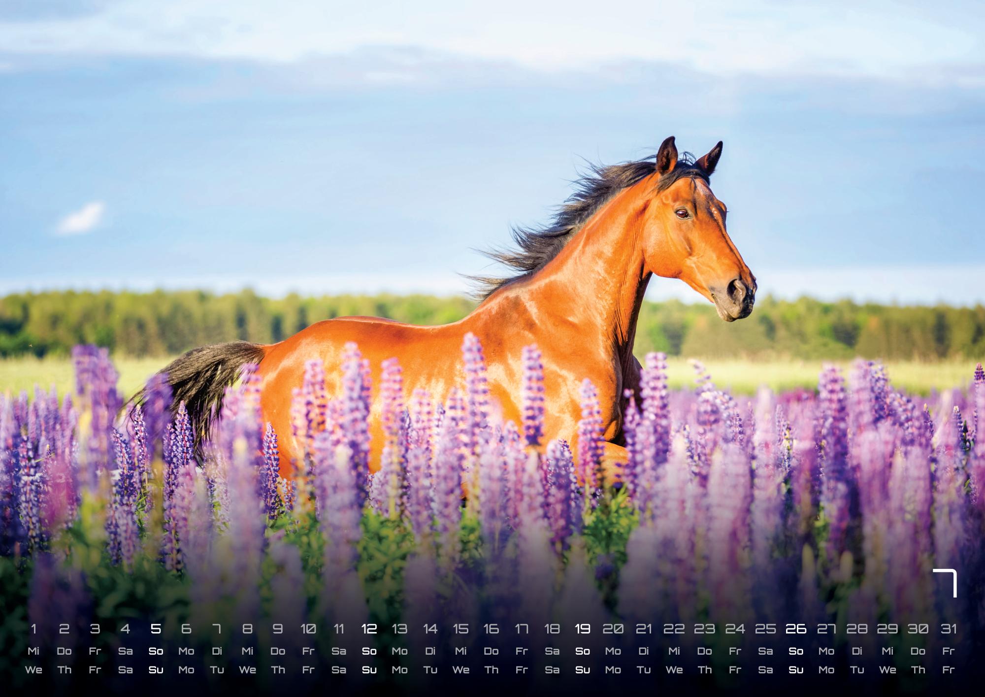 9783986735654_innenansicht_07 9783986735654_innenansicht_07.jpg