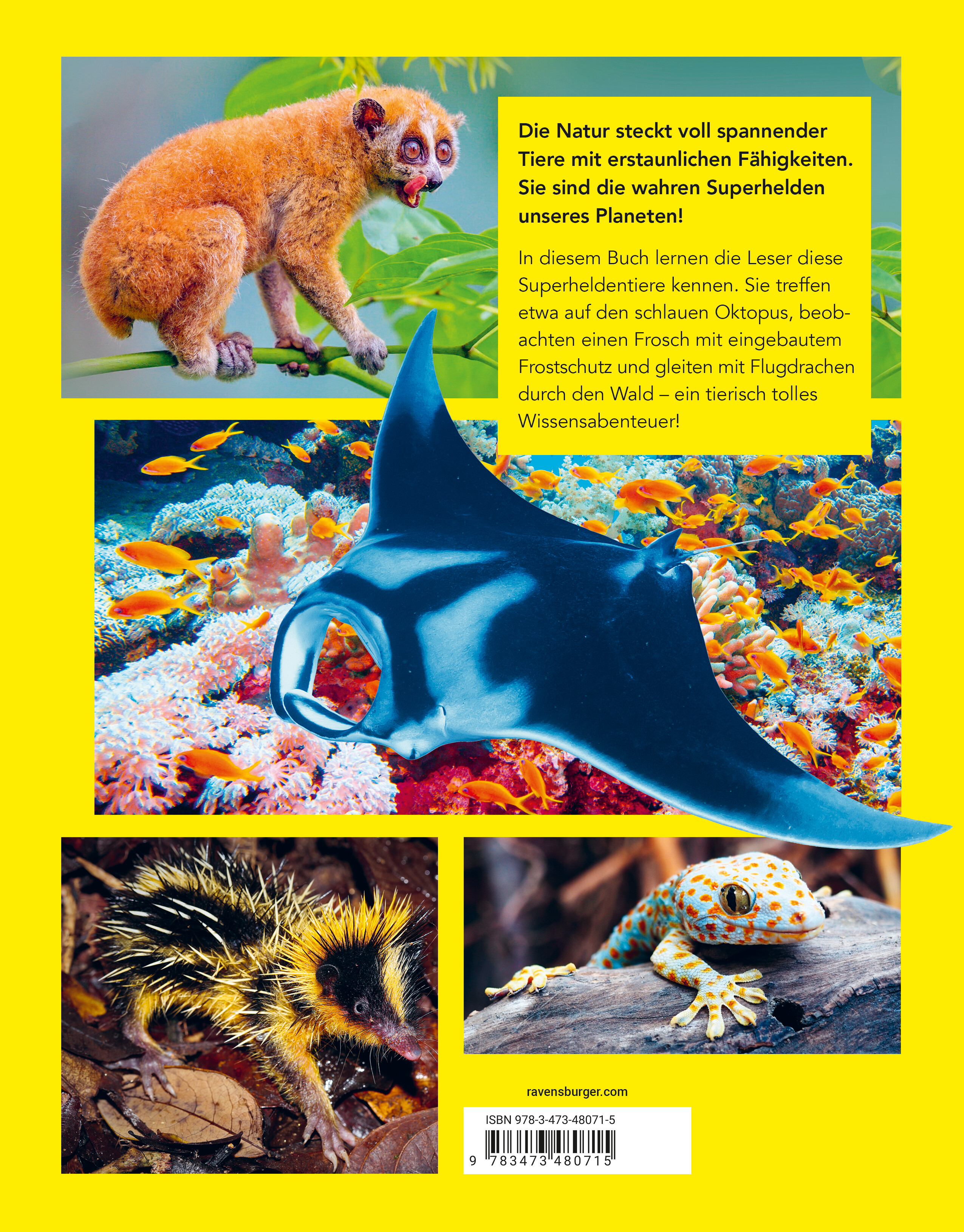 9783473480715_BC 9783473480715_BC.jpg