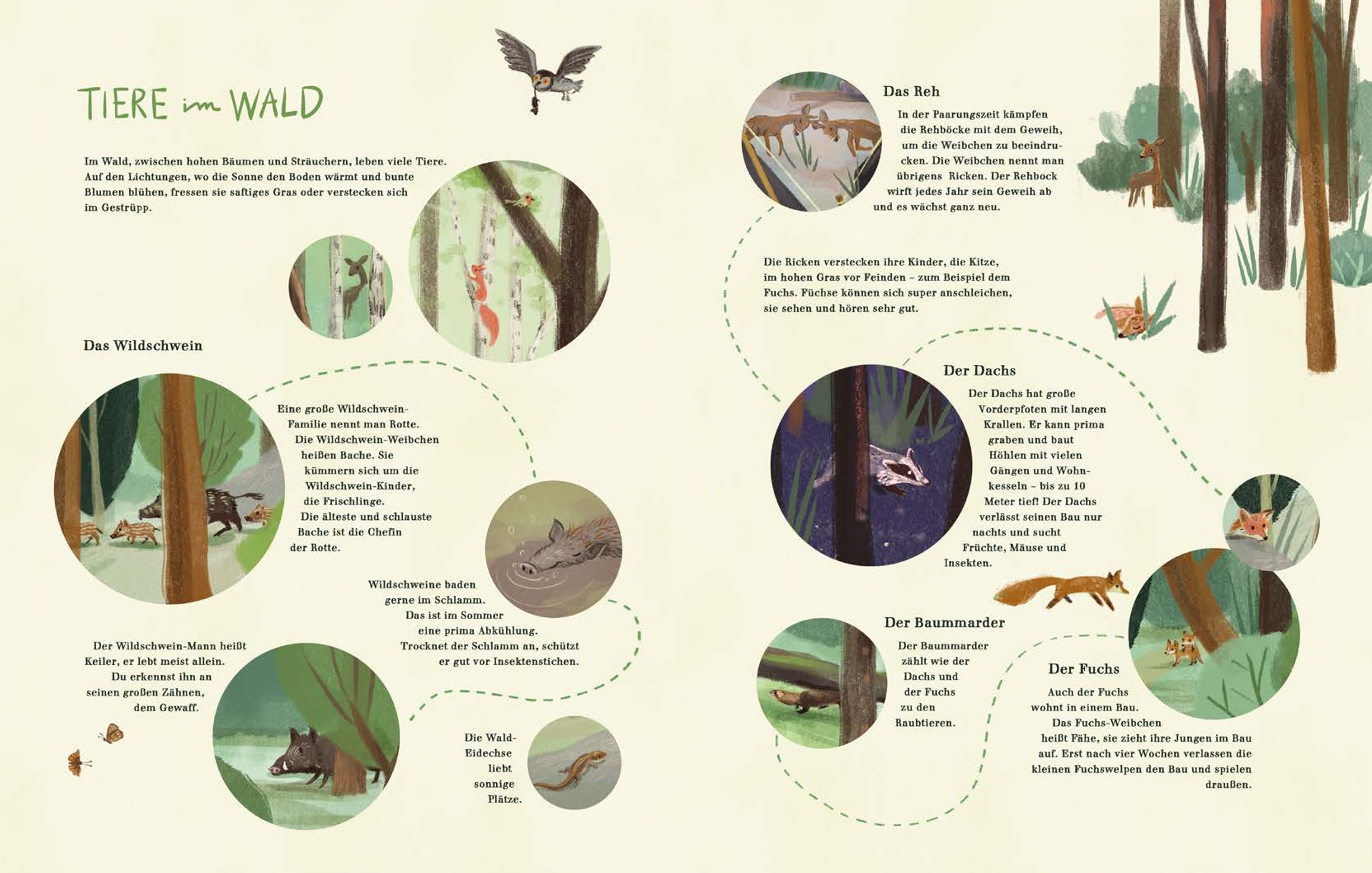 9783961571796_innenansicht_04 9783961571796_innenansicht_04.jpg