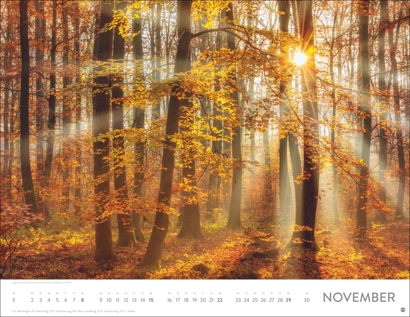 9783756413959_innenansicht_11 9783756413959_innenansicht_11.jpg