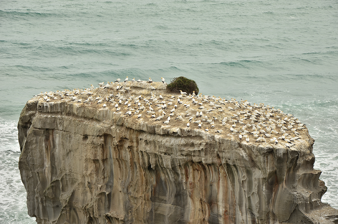 9783772526985_innenansicht_05 9783772526985_innenansicht_05.jpg