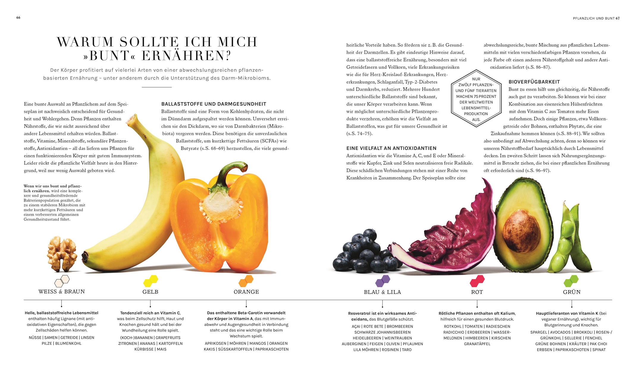 9783831050338_innenansicht_04 9783831050338_innenansicht_04.jpg