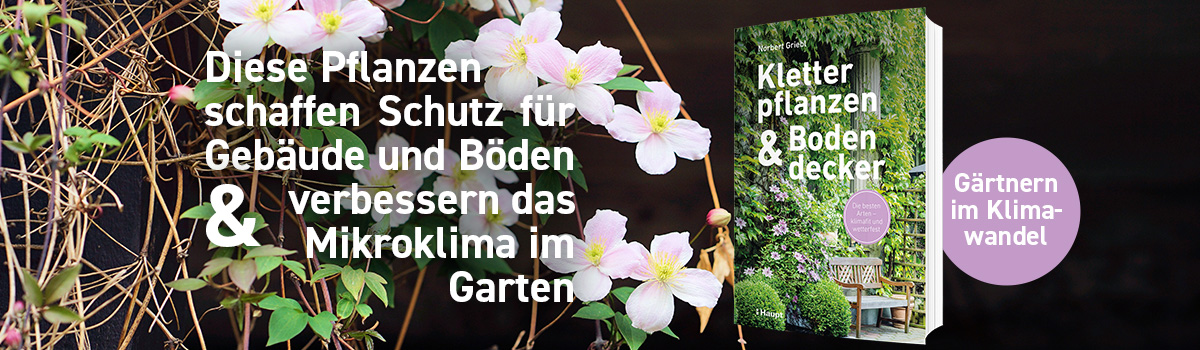 9783258083513_buehnenbild 9783258083513_buehnenbild.jpg