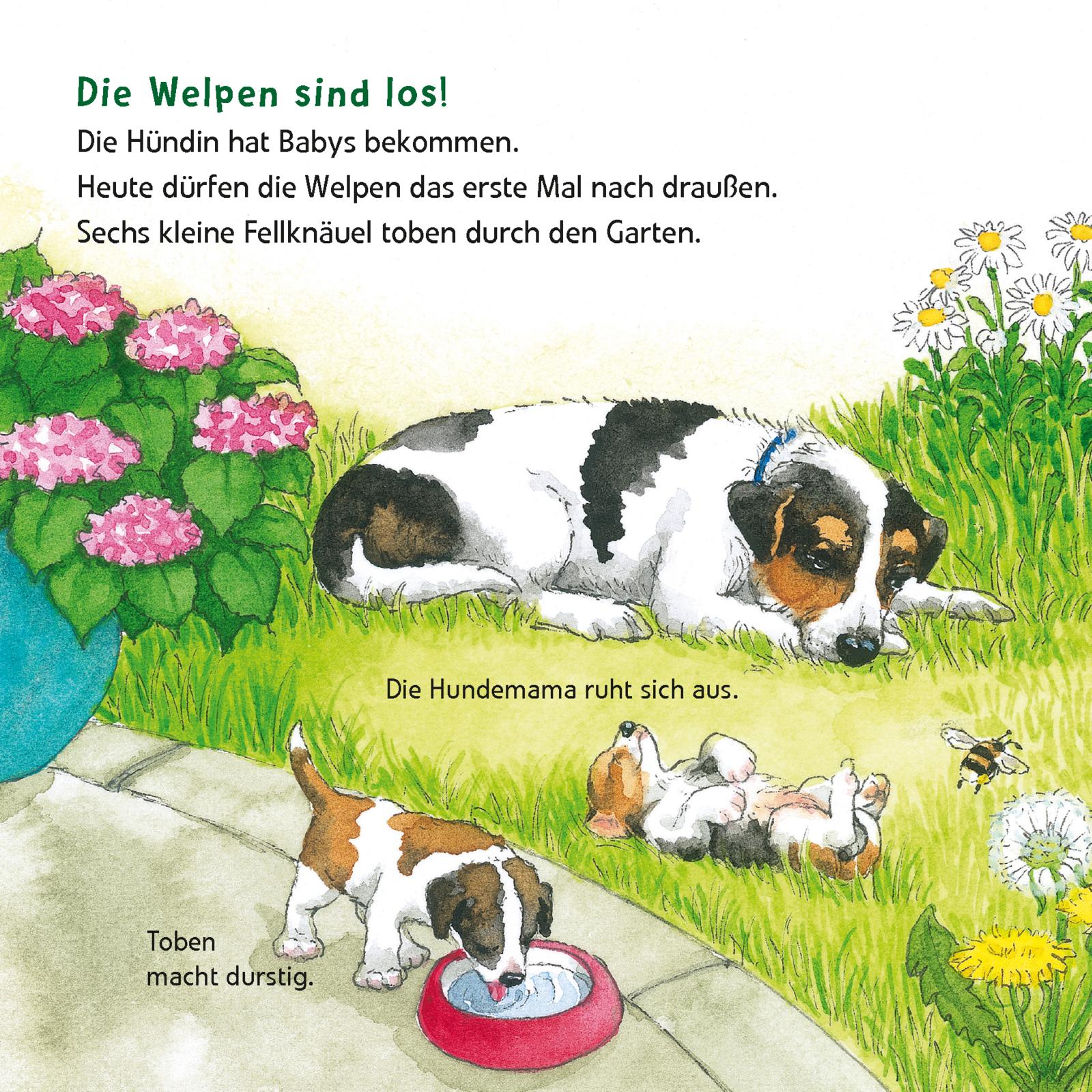 9783551033819_innenansicht_01 9783551033819_innenansicht_01.jpg