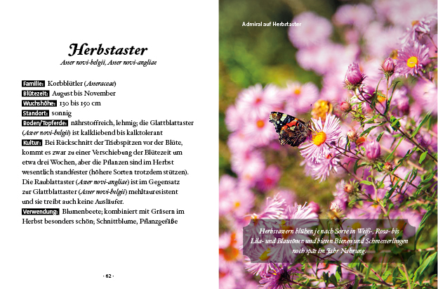 9783710402715_innenansicht_07.jpg 9783710402715_innenansicht_07.jpg