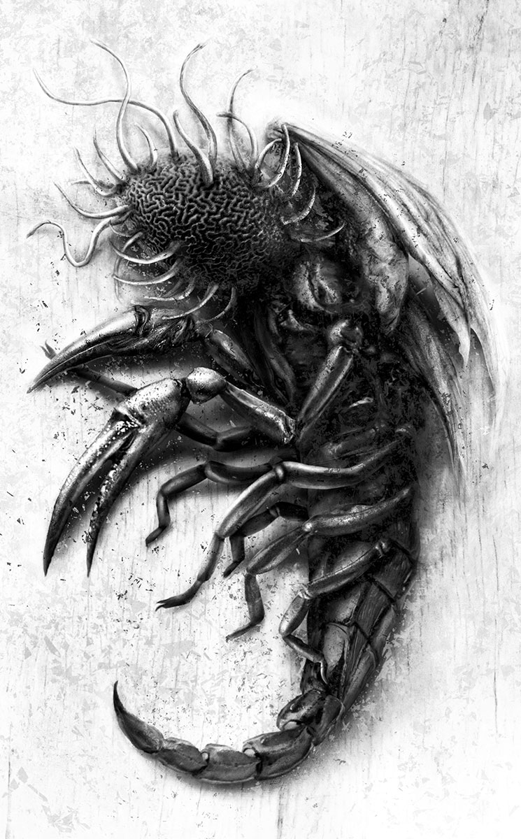 9783946330455_innenansicht_13 9783946330455_innenansicht_13.jpg