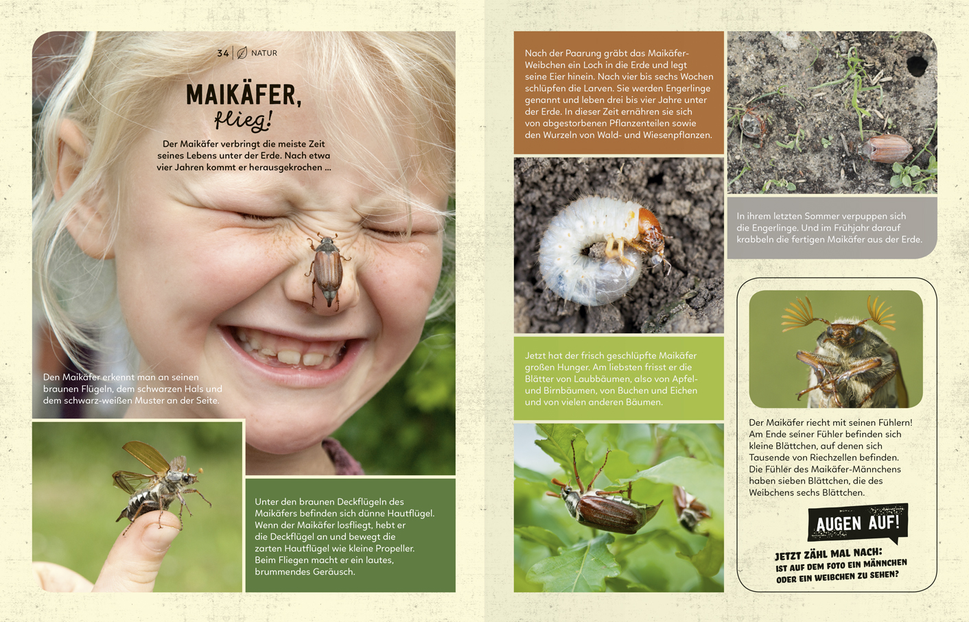 9783946360209_innenansicht_02 9783946360209_innenansicht_02.jpg