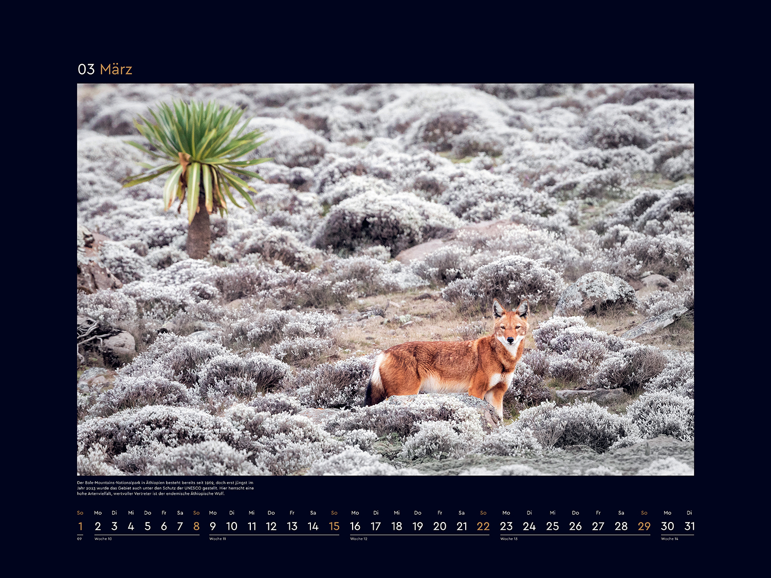 9783965914957_innenansicht_02 9783965914957_innenansicht_02.jpg