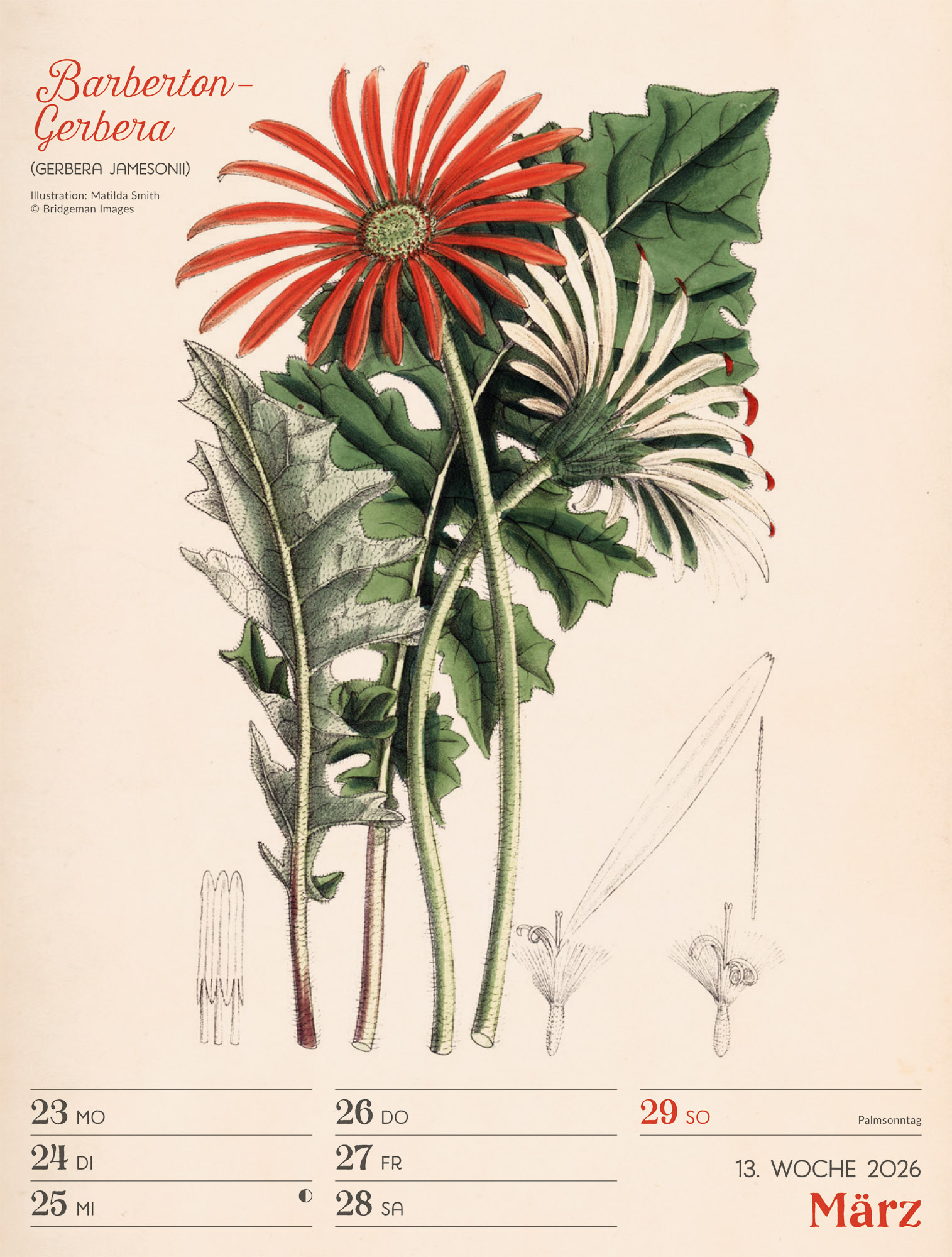 9783838436128_innenansicht_16 9783838436128_innenansicht_16.jpg