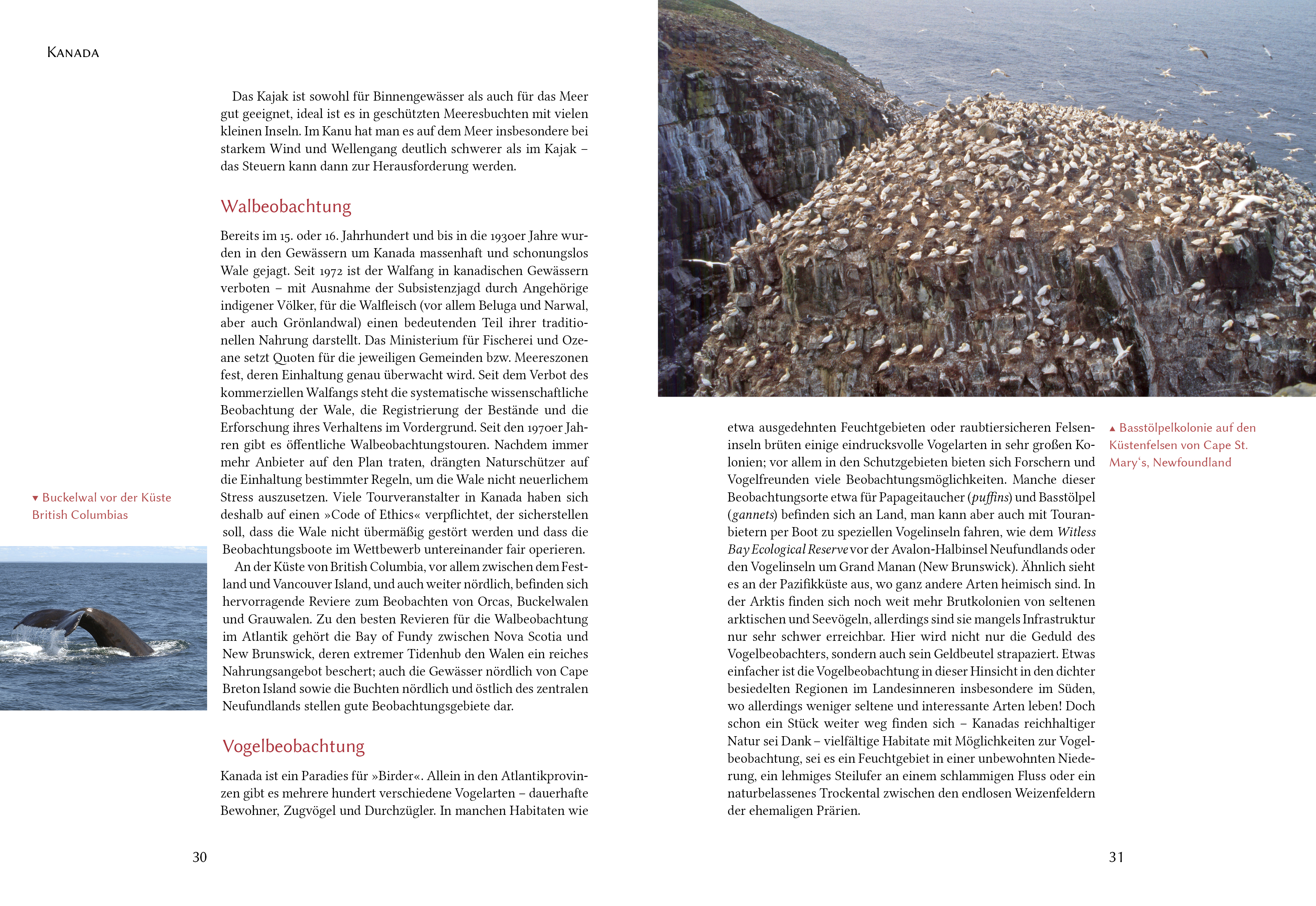 9783955032814_produktbild_06 9783955032814_produktbild_06.jpg