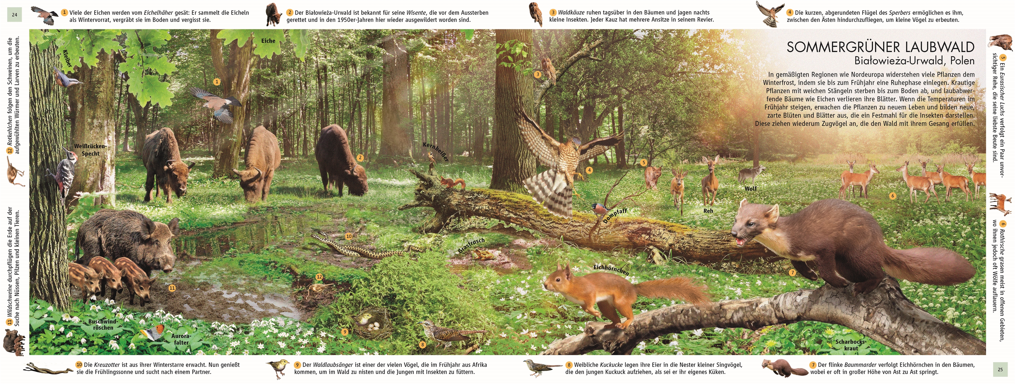 9783831047642_innenansicht_07 9783831047642_innenansicht_07.jpg