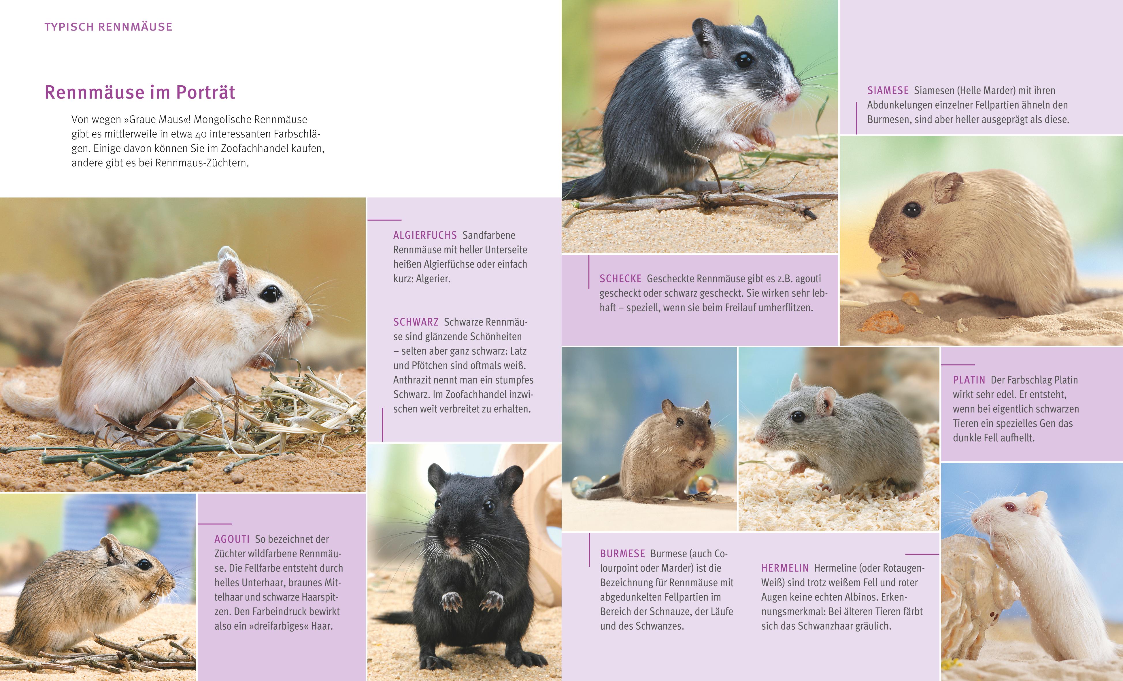 9783833848476_innenansicht_02 9783833848476_innenansicht_02.jpg