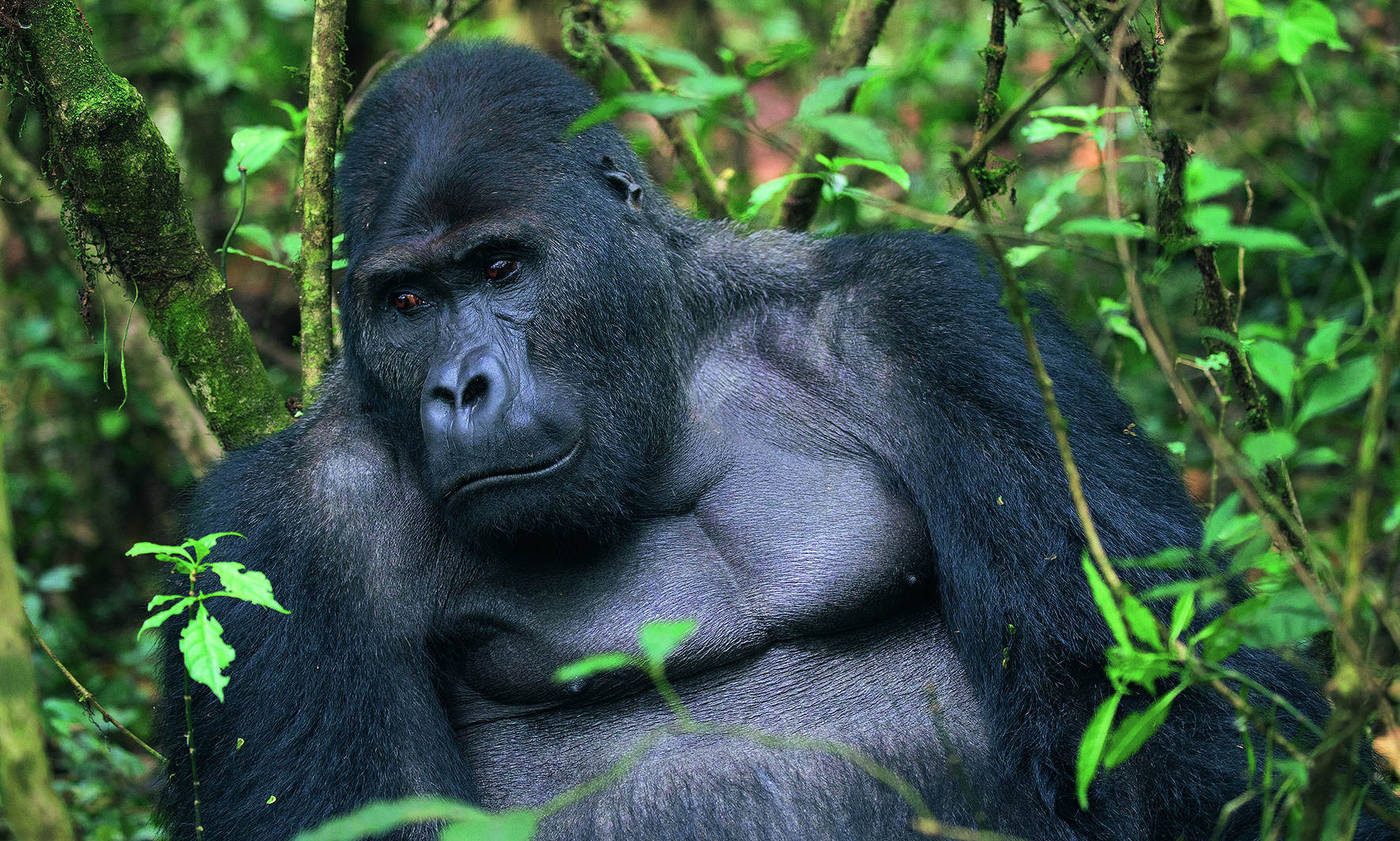 9783866906389_innenansicht_03 9783866906389_innenansicht_03.jpg