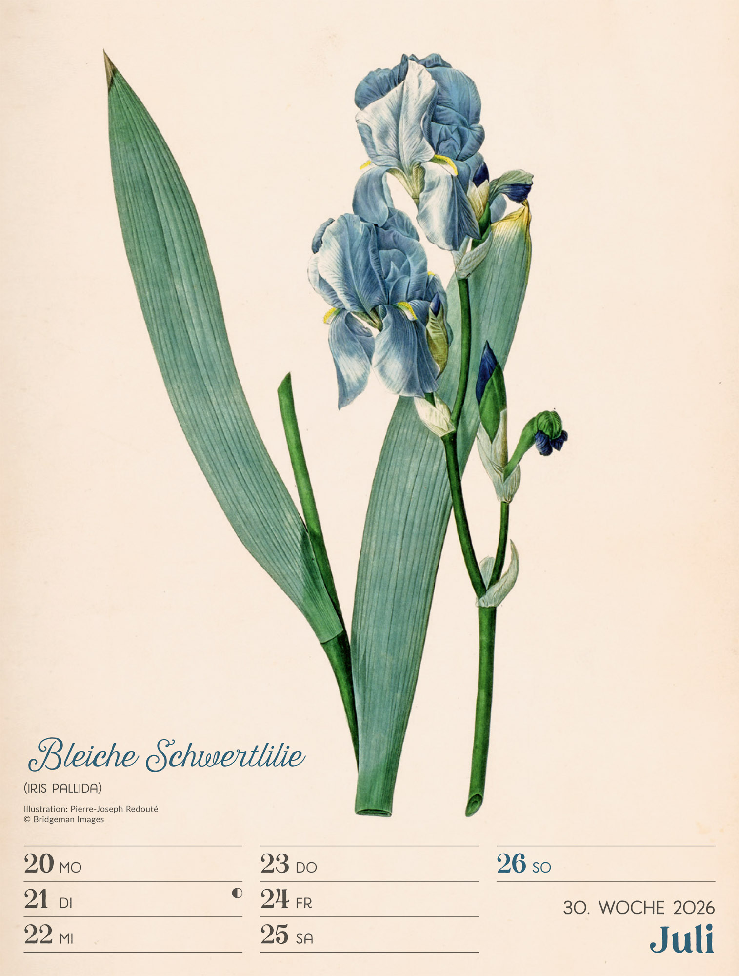 9783838436128_innenansicht_33 9783838436128_innenansicht_33.jpg