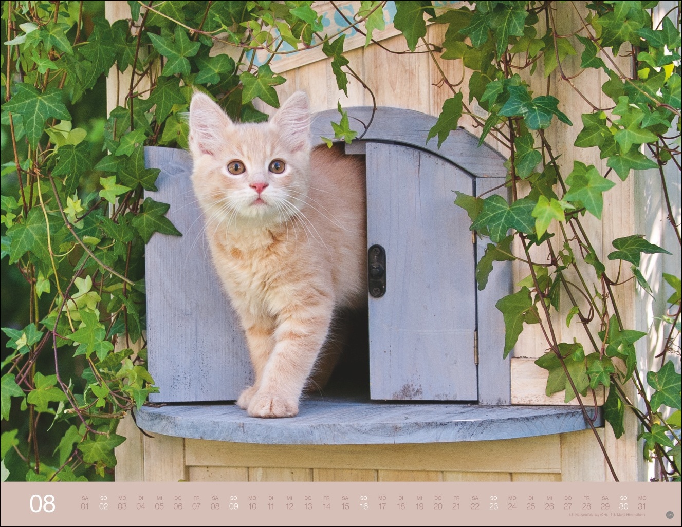 9783756411757_innenansicht_08 9783756411757_innenansicht_08.jpg