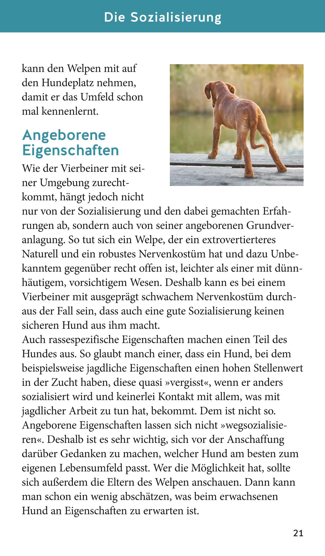 9783833866425_innenansicht_07 9783833866425_innenansicht_07.jpg