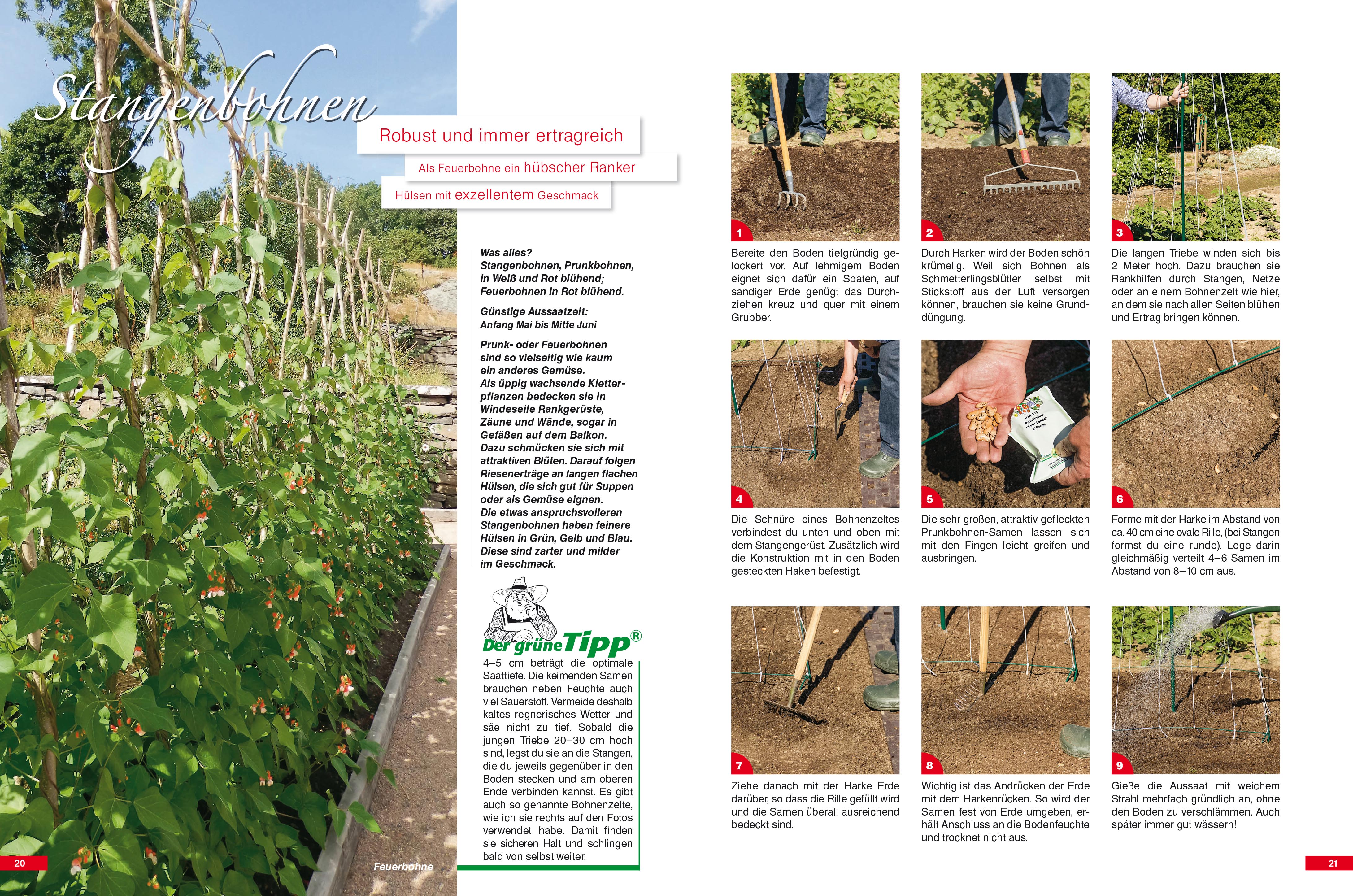 9783920362243_innenansicht_01 9783920362243_innenansicht_01.jpg