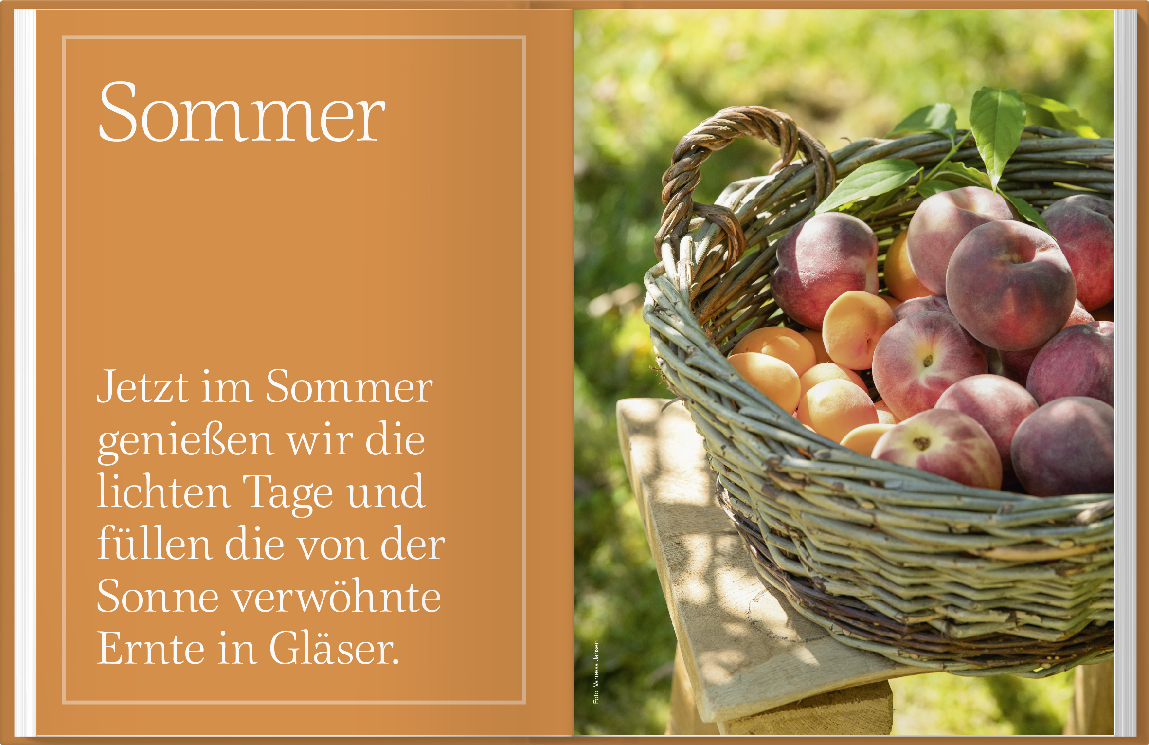9783784358093_innenansicht_03.jpg