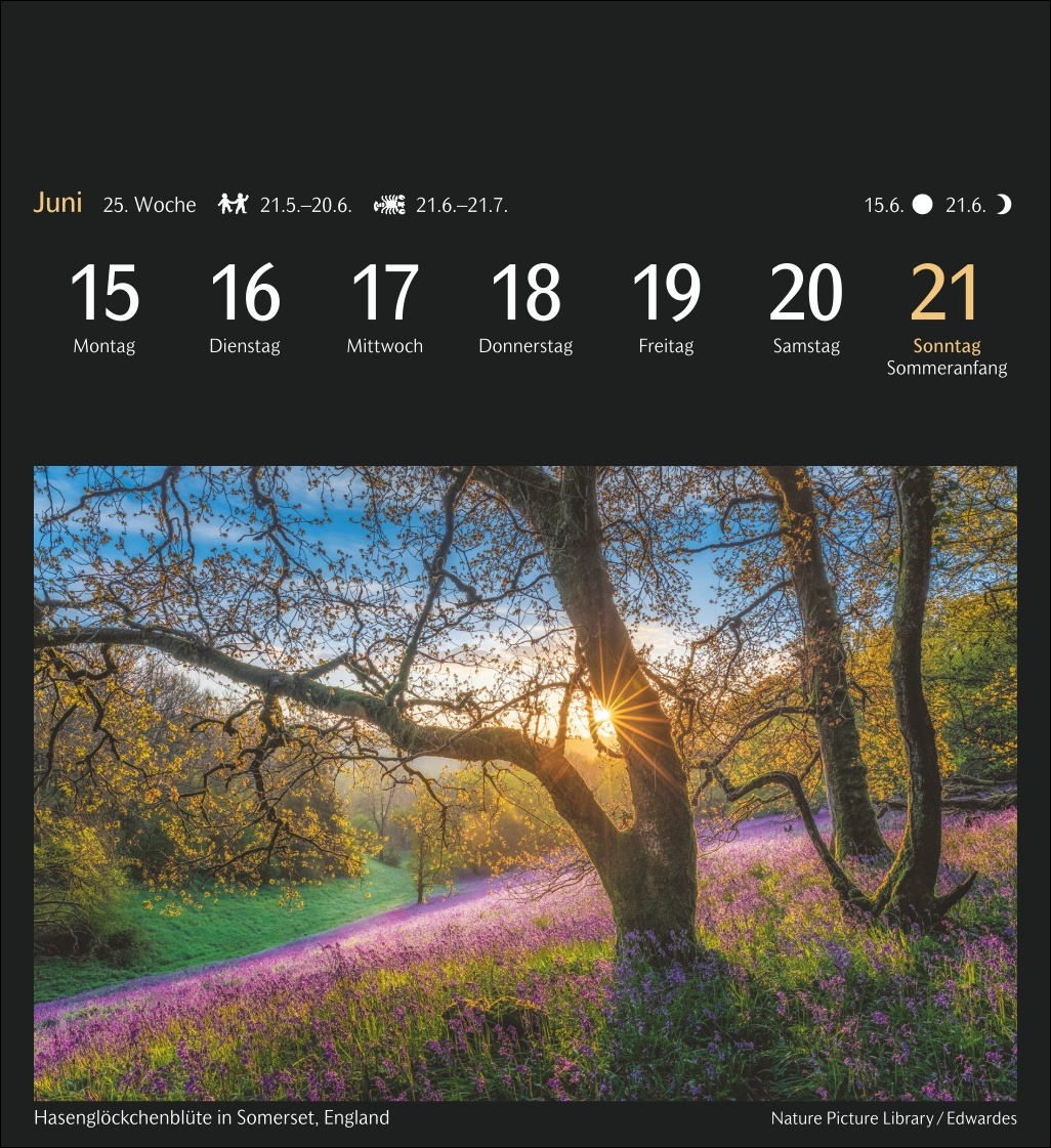 9783840036767_innenansicht_06 9783840036767_innenansicht_06.jpg