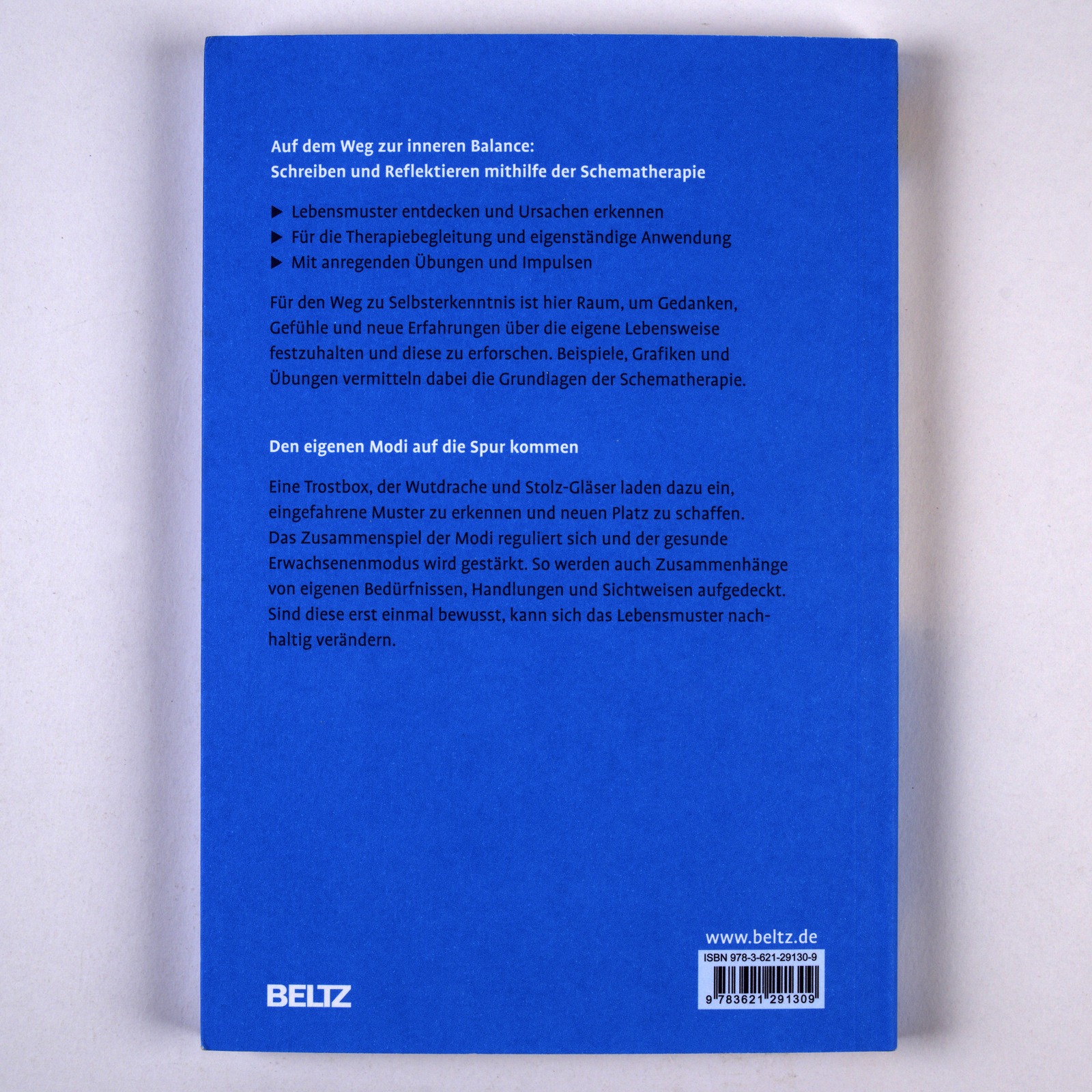 9783621291309_BC 9783621291309_BC.jpg