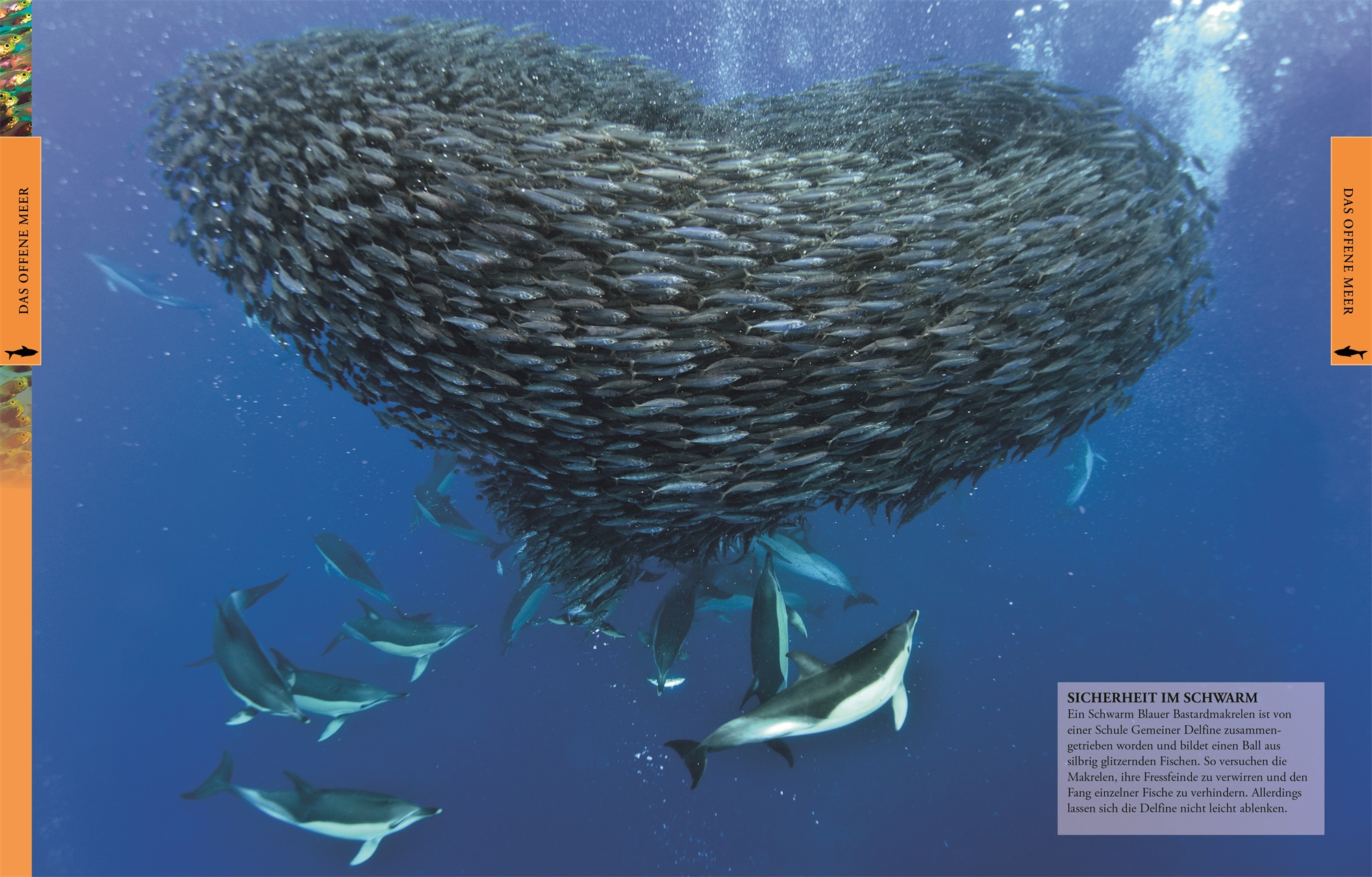 9783831032099_innenansicht_04 9783831032099_innenansicht_04.jpg